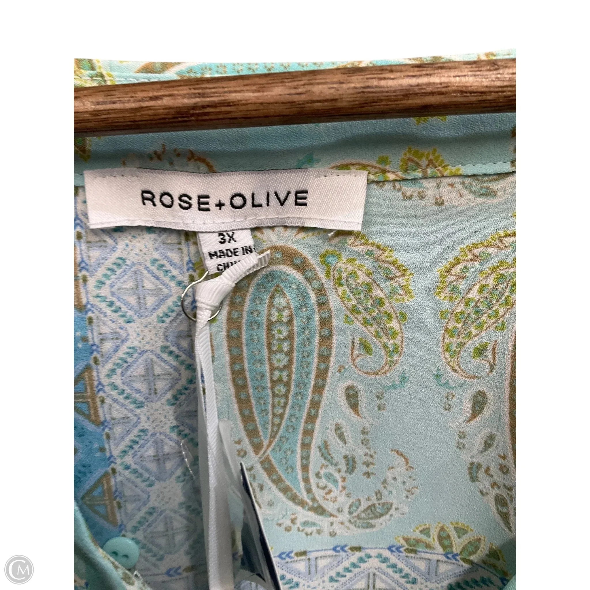 Blouse Short Sleeve By Rose And Olive In Paisley Print, Size: 3x