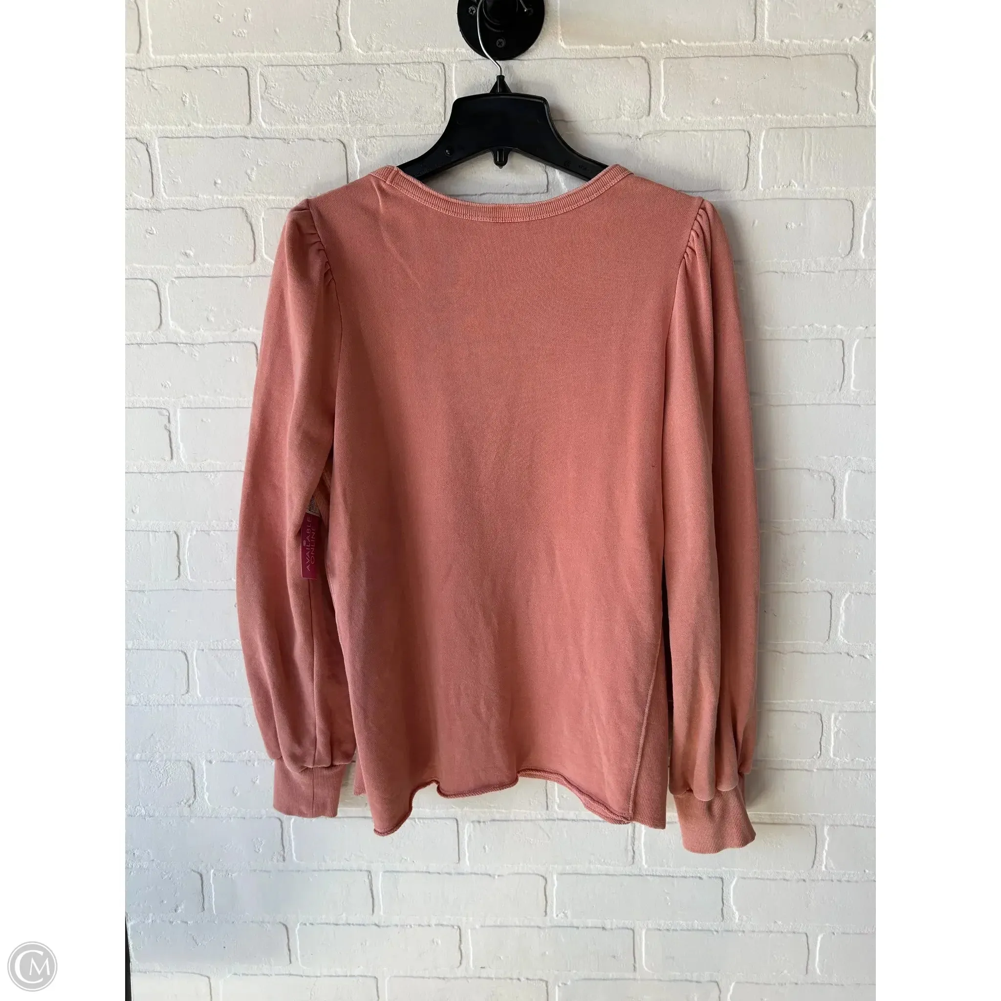 Sweatshirt Crewneck By Members Mark In Orange, Size: L